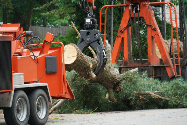 Mulching Services in West Newton, PA